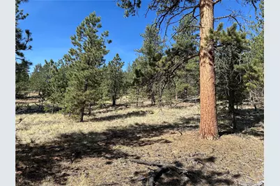 565 Hayhook Way, Hartsel, CO 80449 - Photo 5