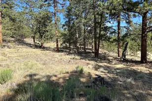 565 Hay Hook Way, Hartsel, CO 80449 - Photo 1