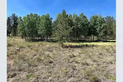 565 Hayhook Way, Hartsel, CO 80449 - Photo 3