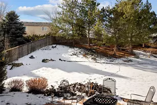 10269 Fawnbrook Ct, Highlands Ranch, CO 80130 - Photo 37