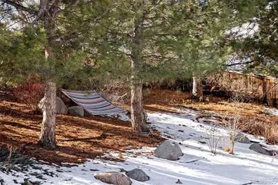 10269 Fawnbrook Court, Highlands Ranch, CO 80130 - Photo 41