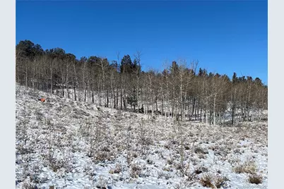 157 Crow Court, Como, CO 80432 - Photo 25