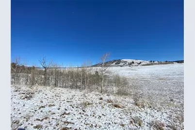 157 Crow Court, Como, CO 80432 - Photo 23