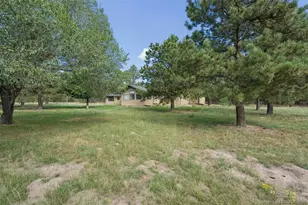 18490 E Forest Dr, Monument, CO 80132 - Photo 49