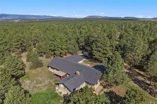 18490 E Forest Dr, Monument, CO 80132 - Photo 3