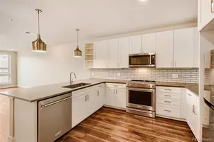 20 Wilcox Street, Castle Rock, CO 80104 - Photo 5