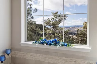 438 Galaxy Drive, Castle Rock, CO 80108 - Photo 23