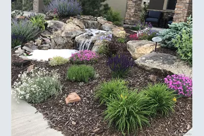 438 Galaxy Drive, Castle Rock, CO 80108 - Photo 3