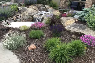 438 Galaxy Dr, Castle Rock, CO 80108 - Photo 3