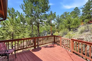 74 Badger Ln, Bailey, CO 80421 - Photo 15