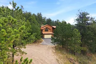 74 Badger Ln, Bailey, CO 80421 - Photo 25