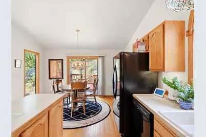74 Badger Lane, Bailey, CO 80421 - Photo 9
