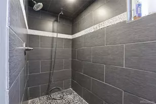 1225 N Clarkson St, Denver, CO 80218 - Photo 23