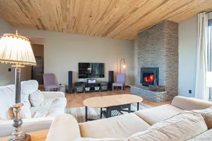 31322 N Meadow Way, Buena Vista, CO 81211 - Photo 5