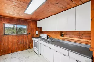 29980 Fir Dr, Evergreen, CO 80439 - Photo 9