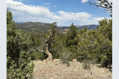 477 Bear Peak Road, Westcliffe, CO 81252 - Photo 19