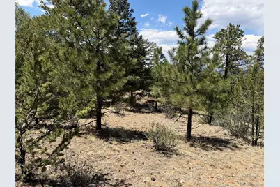 477 Bear Peak Road, Westcliffe, CO 81252 - Photo 23