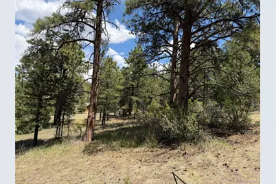 477 Bear Peak Road, Westcliffe, CO 81252 - Photo 31