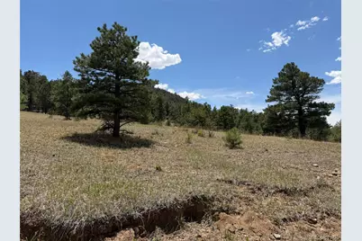 477 Bear Peak Road, Westcliffe, CO 81252 - Photo 37