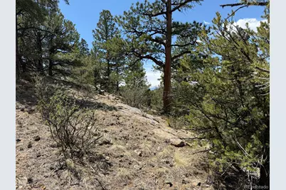 477 Bear Peak Road, Westcliffe, CO 81252 - Photo 11