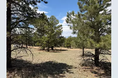 477 Bear Peak Road, Westcliffe, CO 81252 - Photo 35