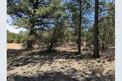 477 Bear Peak Road, Westcliffe, CO 81252 - Photo 1