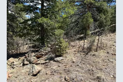 477 Bear Peak Road, Westcliffe, CO 81252 - Photo 9