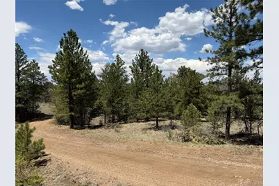 477 Bear Peak Road, Westcliffe, CO 81252 - Photo 3