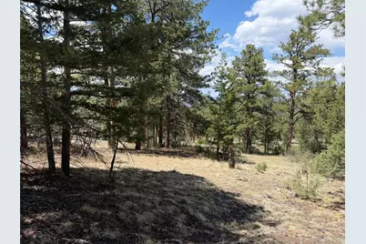 477 Bear Peak Road, Westcliffe, CO 81252 - Photo 27