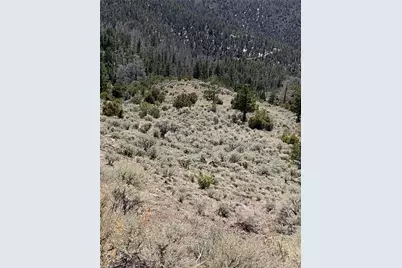 5079&5087 Delancey Road, Fort Garland, CO 81133 - Photo 31