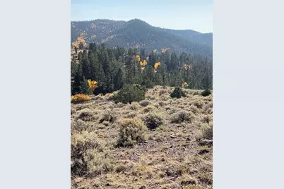 5079&5087 Delancey Road, Fort Garland, CO 81133 - Photo 19