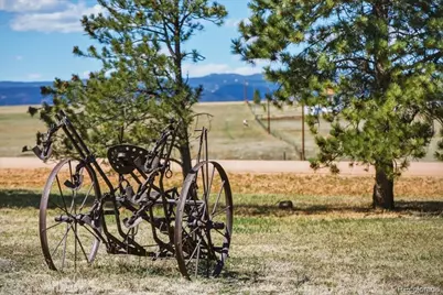 12720 Mesa View Road, Larkspur, CO 80118 - Photo 45