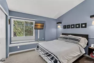 889 Summer Dr, Highlands Ranch, CO 80126 - Photo 15