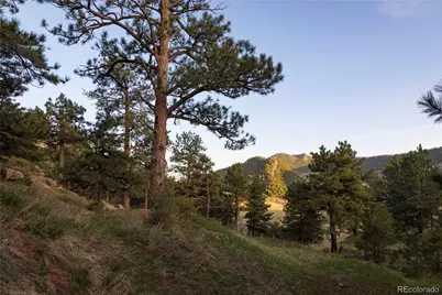 64 Canyon Pines Drive, Arvada, CO 80403 - Photo 19