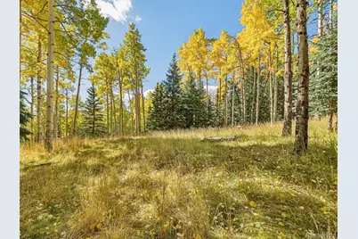 000 Snyder Mountain Road, Evergreen, CO 80439 - Photo 31