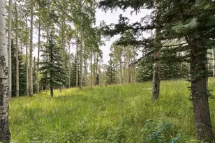 000 Snyder Mountain Rd, Evergreen, CO 80439 - Photo 1