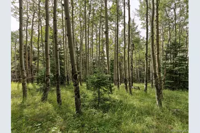 000 Snyder Mountain Road, Evergreen, CO 80439 - Photo 37