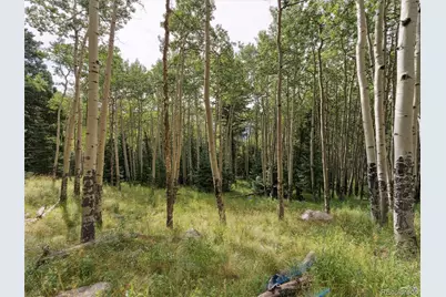 000 Snyder Mountain Road, Evergreen, CO 80439 - Photo 35