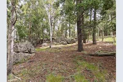 000 Snyder Mountain Road, Evergreen, CO 80439 - Photo 41