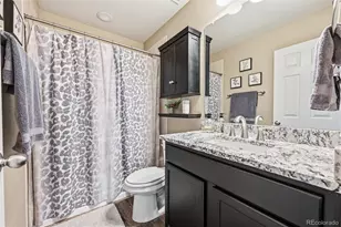 9149 Fraser River St, Littleton, CO 80125 - Photo 23