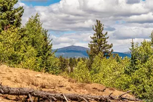 2491 Stagestop Rd, Jefferson, CO 80456 - Photo 33