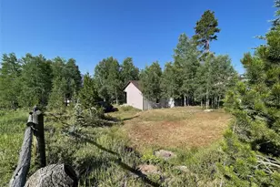 53 Alpine Dr, Tabernash, CO 80478 - Photo 13