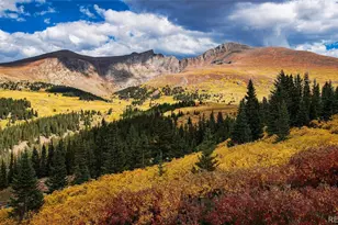 7039 Homeplace St, Castle Rock, CO 80108 - Photo 41