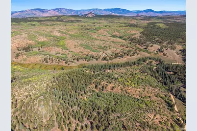 8567 Cr-3, Divide, CO 80814 - Photo 37