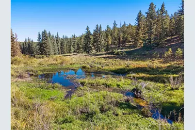 8567 Cr-3, Divide, CO 80814 - Photo 9