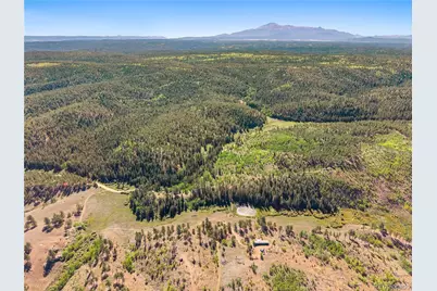 8567 Cr-3, Divide, CO 80814 - Photo 33