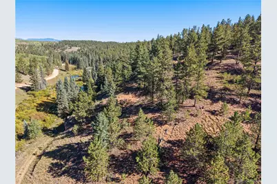 8567 Cr-3, Divide, CO 80814 - Photo 23