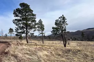 Lot 1020 1021 Hassan Ln, Fort Garland, CO 81133 - Photo 1