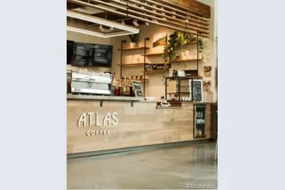 9274 Inca Dove Circle, Littleton, CO 80125 - Photo 37