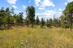 8 Ronnie Rd, Golden, CO 80403 - Photo 21